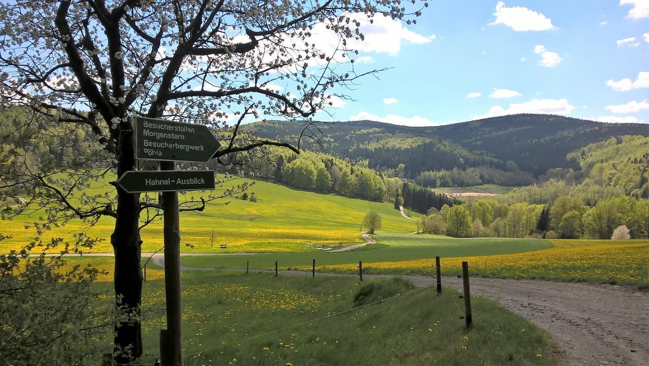 Ferienwohnungen Weissflog Schwarzenberg  Extérieur photo